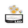 Foco LED 40W GRAZ Negro BRIDGELUX Chip Carril TRIFÁSICO CRI +90