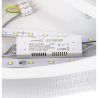 Plafón led diseño mariposa luz fría