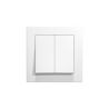 INTERRUPTOR DOBLE EMPOTRABLE  BLANCO CJ120