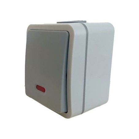 INTERRUPTOR EXTERIOR CON LUZ IP54 DE 1 VIA 10AX 250V