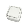 INTERRUPTOR DE 2 VIAS DE 1 BANDA 10X~250 BLANCO