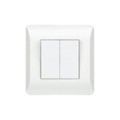 BASE INTERUPTOR DOBLE  EMPOTRABLE BLIS CJ120