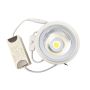 Bombilla LED AR111 CCT tres tonos 3 in 1