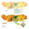 Foco Proyector Exterior LED 50W - Avant Pro - OSRAM CHIP DURIS E 2835 - 5 Años