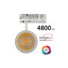 Foco LED 40W NEW MAYA 3CCT | Driver Philips Xitanium | Carril Trifásico | UGR13 | 24º - 60º | Blanco